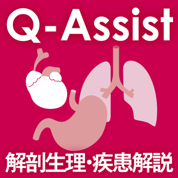 Q-Assist 内科・外科（解剖生理・疾患解説編）【QB購入者限定】